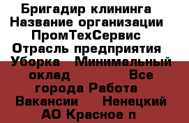 Бригадир клининга › Название организации ­ ПромТехСервис › Отрасль предприятия ­ Уборка › Минимальный оклад ­ 30 000 - Все города Работа » Вакансии   . Ненецкий АО,Красное п.